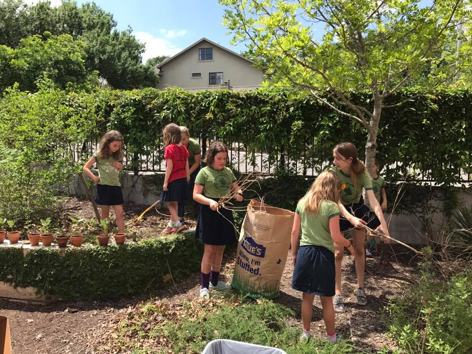 Students collecting weeds and loose branches